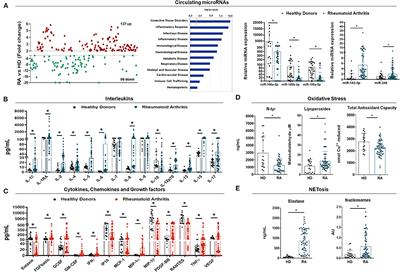 Integrative Clinical, Molecular, and Computational Analysis Identify Novel Biomarkers and Differential Profiles of Anti-TNF Response in Rheumatoid Arthritis